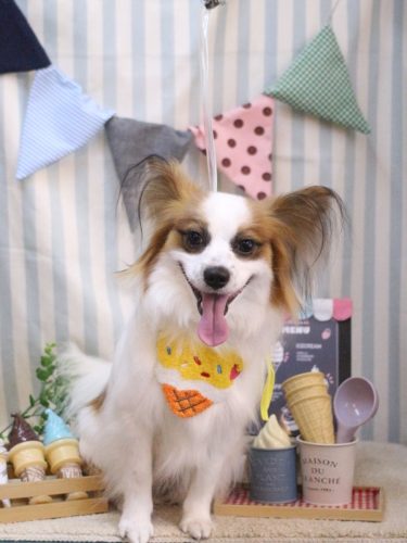 20250511ムーくん